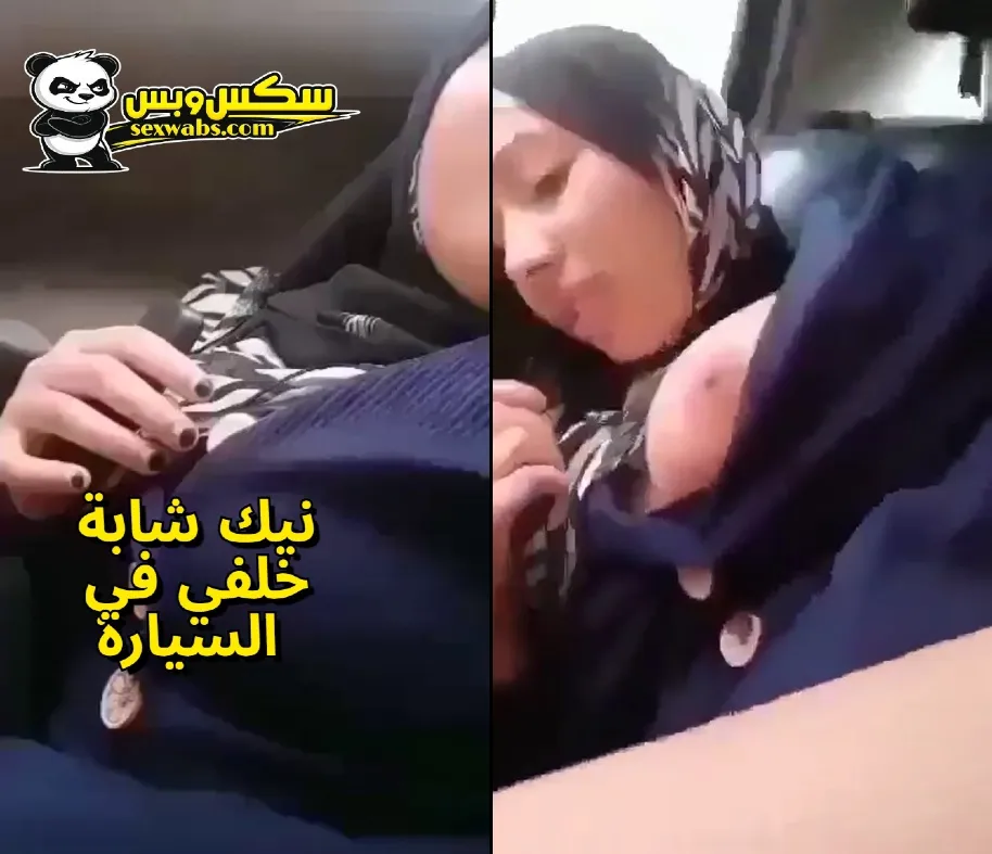 متع زبك بنيك شابة مصرية خلفي في السيارة بصوت اهاتها الهايج | xnxx سكس عربى
