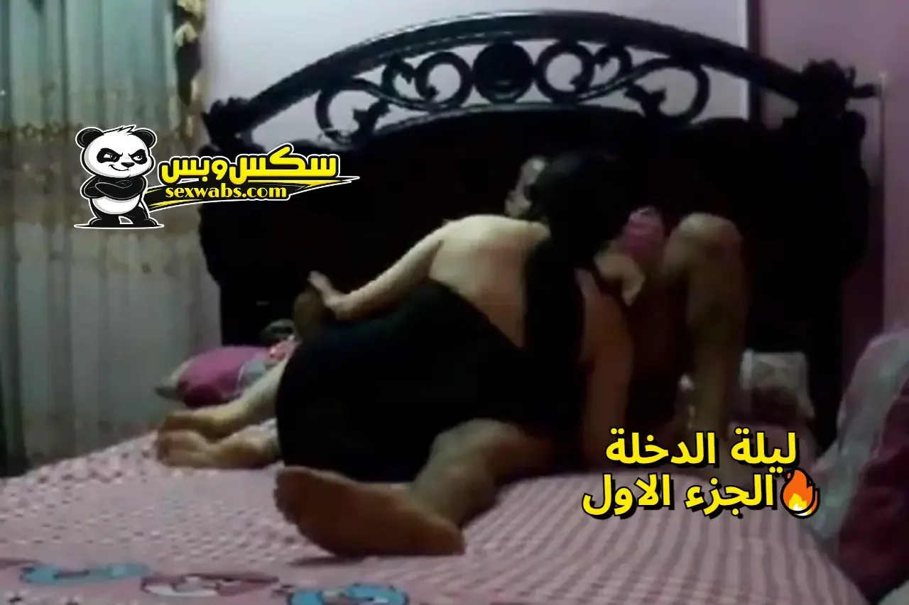 فيديو سكس مصري كله بيدور عليه الجزء الاول | موقع سكس وبس